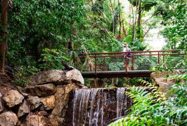 George Brown Darwin Botanic Gardens