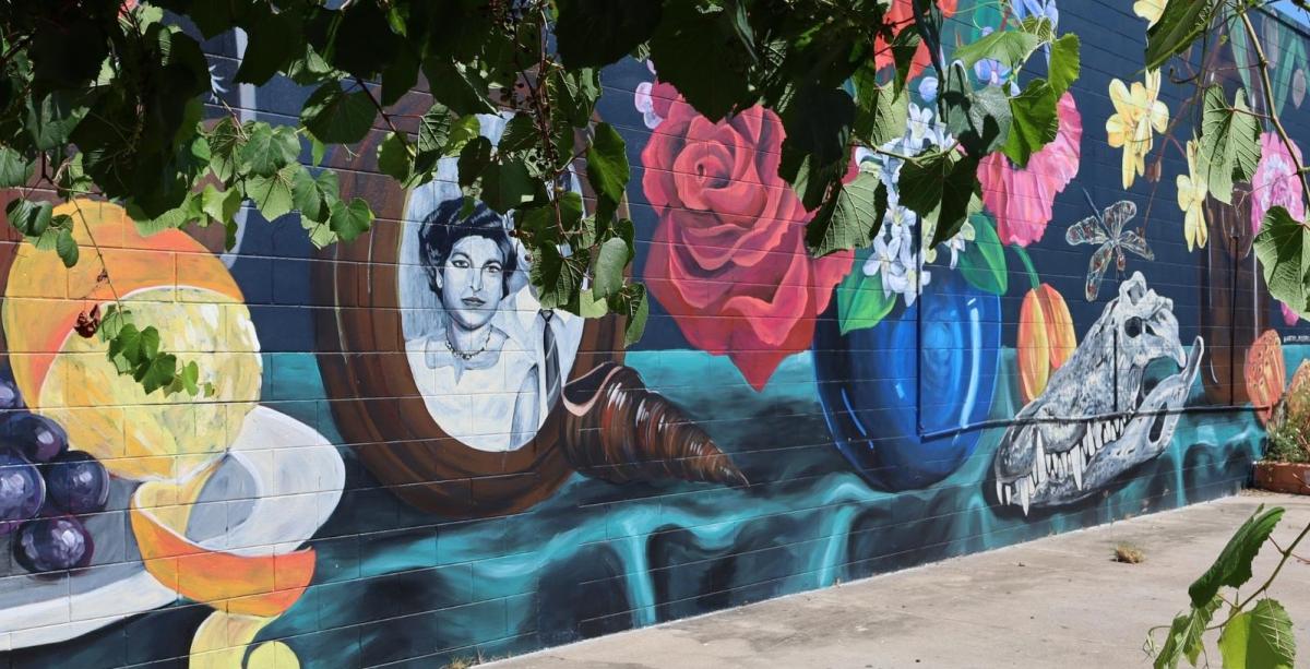 2021 Darwin Street Art Festival at Aralia Street, Miss Polly 2021 Darwin Street Art Festival at Aralia Street, Miss Polly