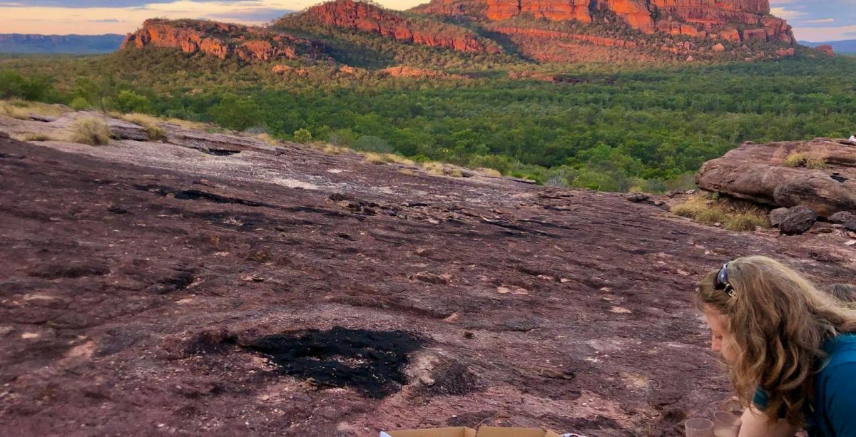 Cockatours (NT)