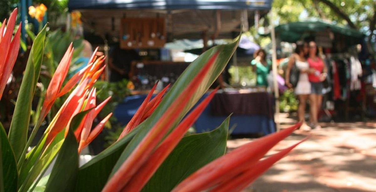 Nightcliff Markets